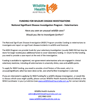 Flyer image for NDSI